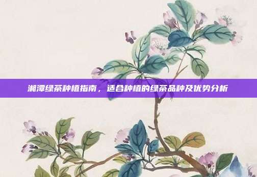 湘潭绿茶种植指南，适合种植的绿茶品种及优势分析