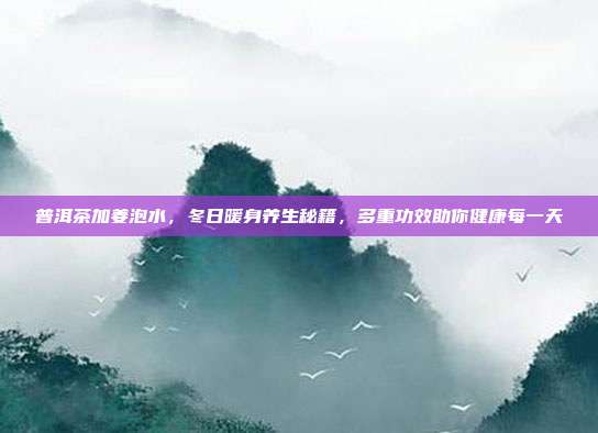 普洱茶加姜泡水，冬日暖身养生秘籍，多重功效助你健康每一天