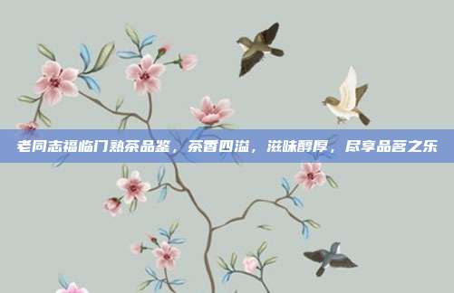老同志福临门熟茶品鉴，茶香四溢，滋味醇厚，尽享品茗之乐