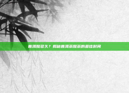 普洱醒多久？揭秘普洱茶醒茶的最佳时间