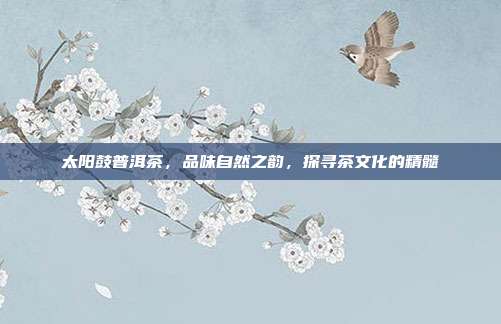 太阳鼓普洱茶，品味自然之韵，探寻茶文化的精髓