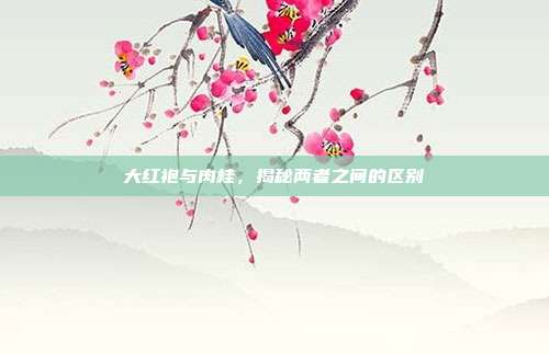 大红袍与肉桂，揭秘两者之间的区别