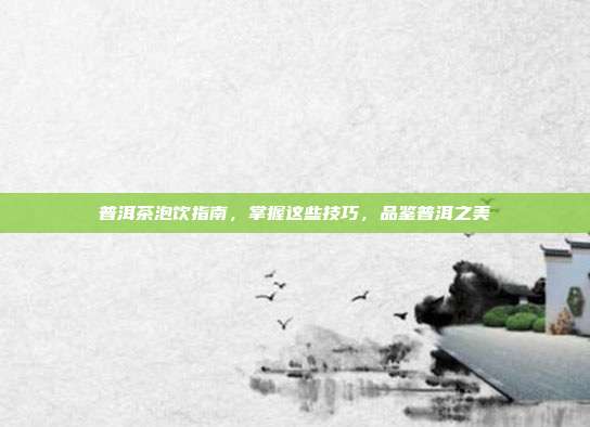 普洱茶泡饮指南，掌握这些技巧，品鉴普洱之美