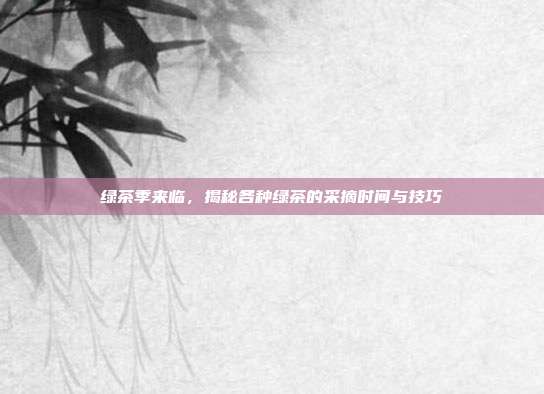 绿茶季来临，揭秘各种绿茶的采摘时间与技巧