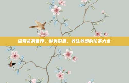 探索花茶世界，种类繁多，养生养颜的花茶大全