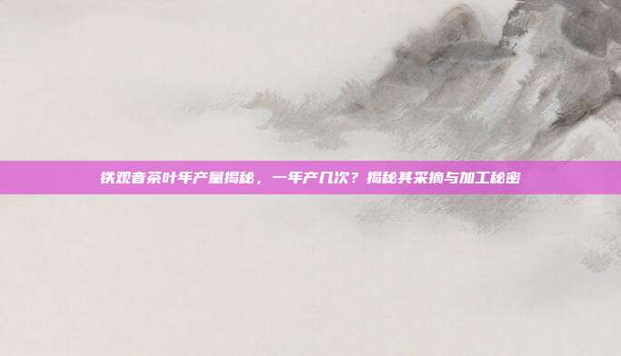 铁观音茶叶年产量揭秘，一年产几次？揭秘其采摘与加工秘密