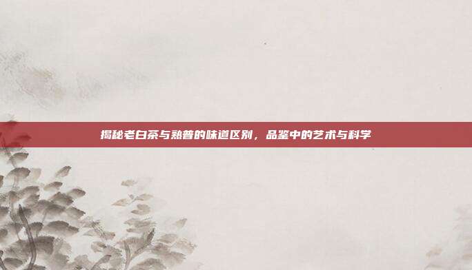 揭秘老白茶与熟普的味道区别，品鉴中的艺术与科学