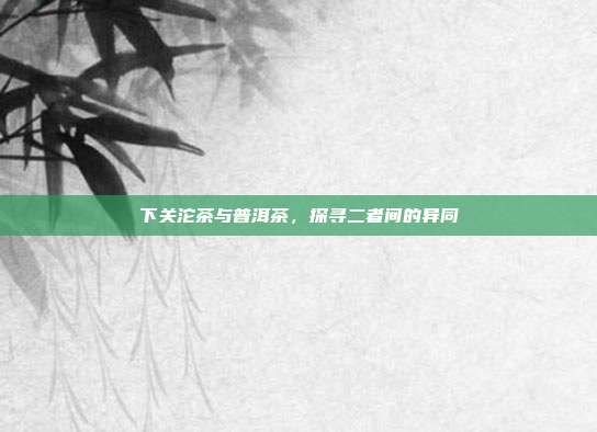 下关沱茶与普洱茶，探寻二者间的异同