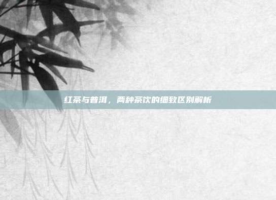 红茶与普洱，两种茶饮的细致区别解析