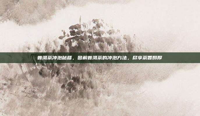 普洱茶冲泡秘籍，图解普洱茶的冲泡方法，尽享茶香醇厚