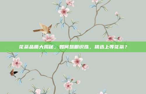 花茶品质大揭秘，如何慧眼识珠，挑选上等花茶？