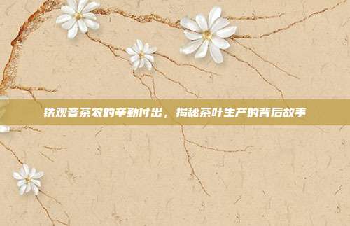铁观音茶农的辛勤付出，揭秘茶叶生产的背后故事