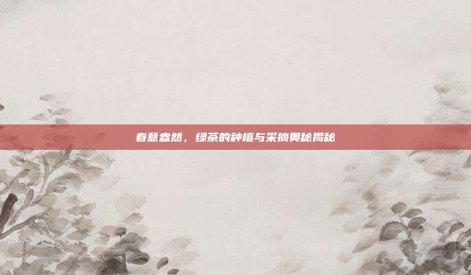 春意盎然，绿茶的种植与采摘奥秘揭秘