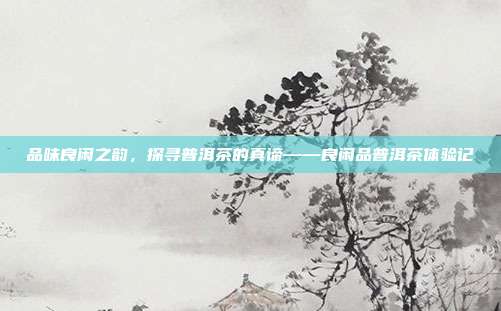 品味良闲之韵，探寻普洱茶的真谛——良闲品普洱茶体验记