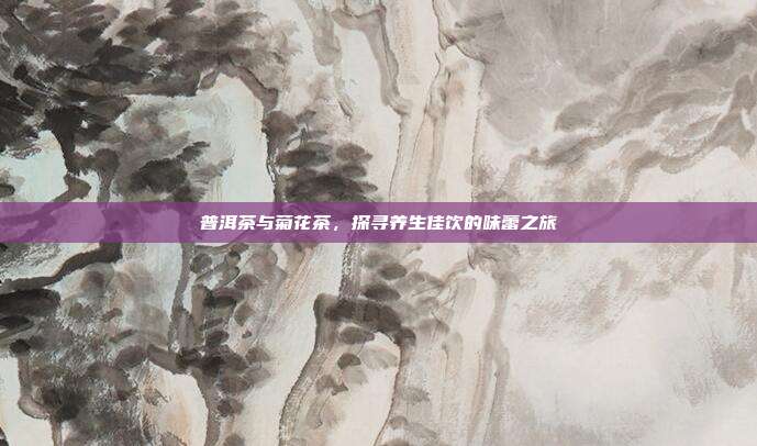 普洱茶与菊花茶，探寻养生佳饮的味蕾之旅