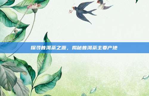 探寻普洱茶之源，揭秘普洱茶主要产地
