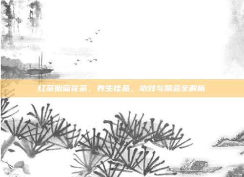 红茶胎菊花茶，养生佳品，功效与禁忌全解析