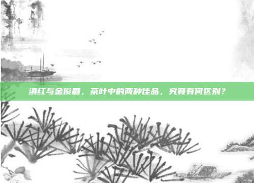 滇红与金俊眉，茶叶中的两种佳品，究竟有何区别？