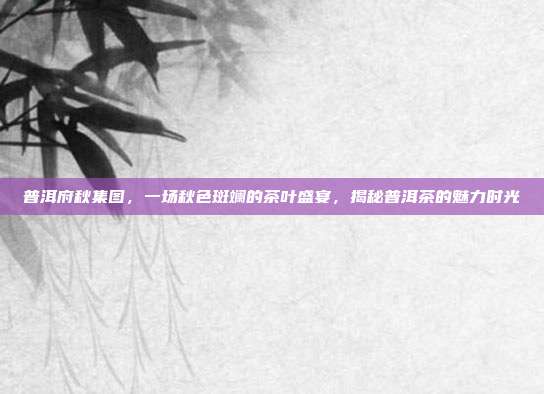 普洱府秋集图，一场秋色斑斓的茶叶盛宴，揭秘普洱茶的魅力时光
