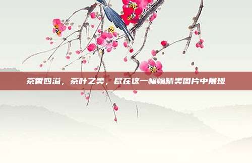 茶香四溢，茶叶之美，尽在这一幅幅精美图片中展现