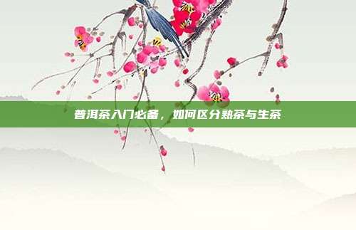 普洱茶入门必备，如何区分熟茶与生茶