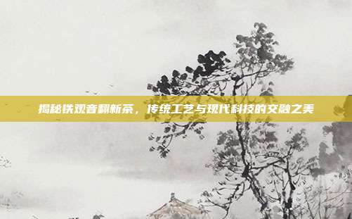 揭秘铁观音翻新茶，传统工艺与现代科技的交融之美