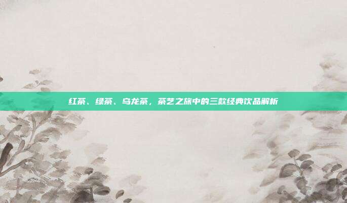 红茶、绿茶、乌龙茶，茶艺之旅中的三款经典饮品解析