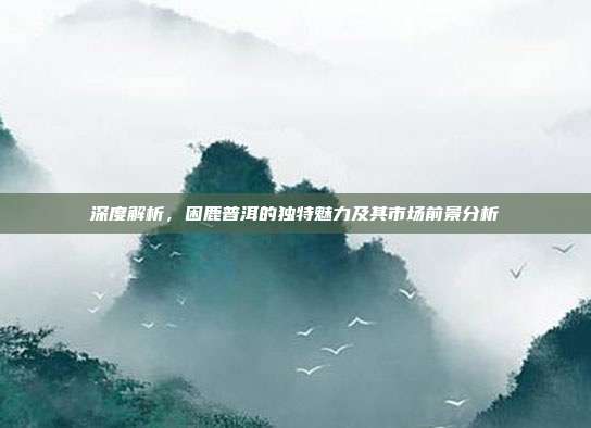 深度解析，困鹿普洱的独特魅力及其市场前景分析
