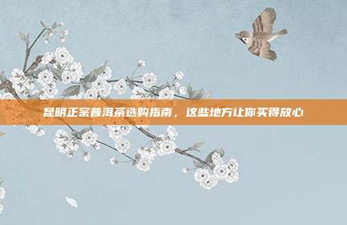 昆明正宗普洱茶选购指南，这些地方让你买得放心