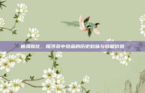 普洱陈化，探寻茶中珍品的历史韵味与收藏价值