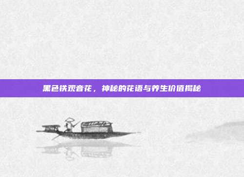 黑色铁观音花，神秘的花语与养生价值揭秘