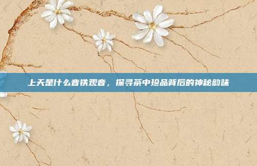 上天是什么音铁观音，探寻茶中珍品背后的神秘韵味