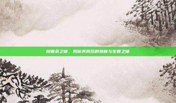 柑普茶之谜，揭秘其背后的熟普与生普之谜