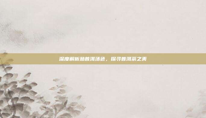 深度解析熟普洱汤色，探寻普洱茶之美