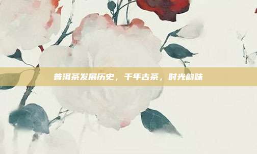 普洱茶发展历史，千年古茶，时光韵味