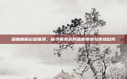 深度解析彩程普洱，探寻普洱茶的品质传奇与市场趋势