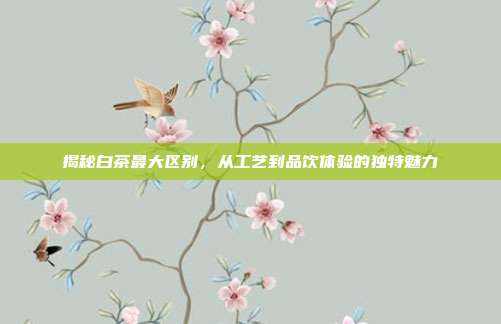 揭秘白茶最大区别，从工艺到品饮体验的独特魅力