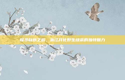 探寻自然之韵，浙江开化野生绿茶的独特魅力
