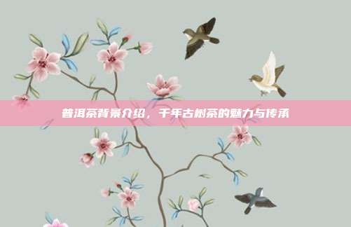 普洱茶背景介绍，千年古树茶的魅力与传承