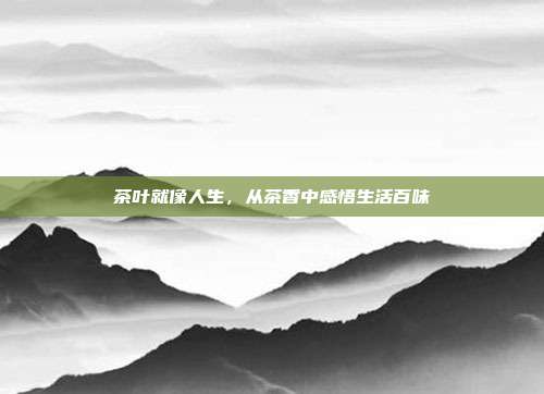 茶叶就像人生，从茶香中感悟生活百味