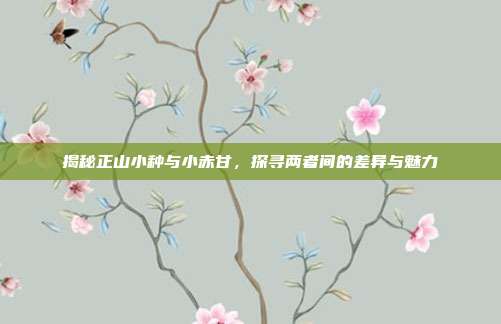 揭秘正山小种与小赤甘，探寻两者间的差异与魅力