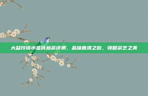 大益玲珑小金砖熟茶评测，品味普洱之韵，领略茶艺之美