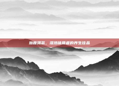 熟普洱茶，湿热体质者的养生佳品