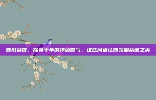 普洱茶香，探寻千年的神秘香气，这些词语让你领略茶韵之美