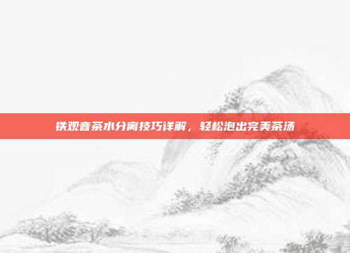 铁观音茶水分离技巧详解，轻松泡出完美茶汤