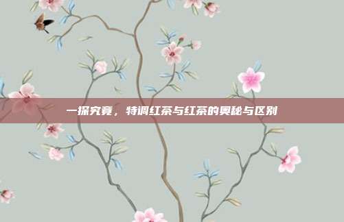一探究竟，特调红茶与红茶的奥秘与区别