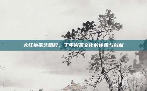 大红袍茶艺精粹，千年岩茶文化的传承与创新
