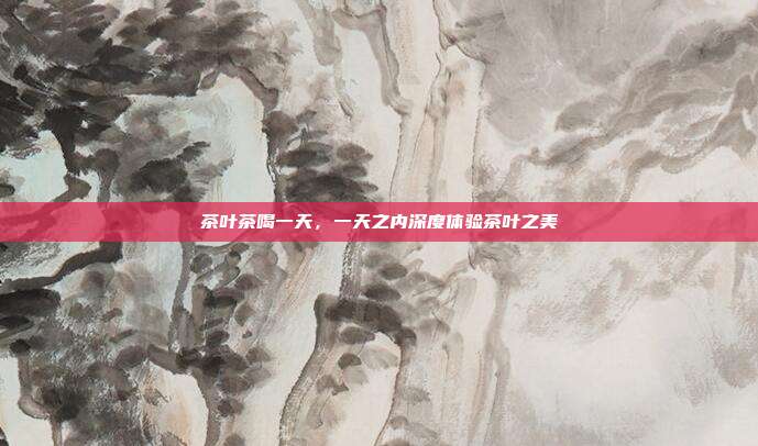 茶叶茶喝一天，一天之内深度体验茶叶之美