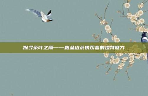 探寻茶叶之巅——极品山茶铁观音的独特魅力