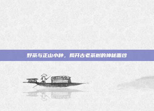 野茶与正山小种，揭开古老茶树的神秘面纱